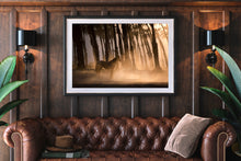 Load image into Gallery viewer, California Gold
