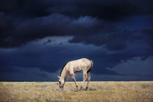 Load image into Gallery viewer, Calm Before The Storm

