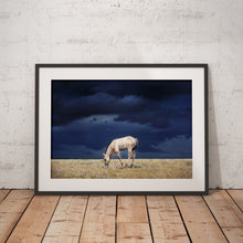 Load image into Gallery viewer, Calm Before The Storm
