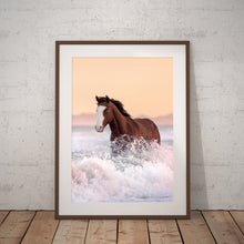 Load image into Gallery viewer, Evening Glow
