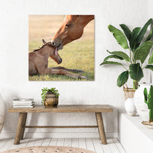 Load image into Gallery viewer, First Embrace

