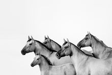 Load image into Gallery viewer, Five Of A Kind
