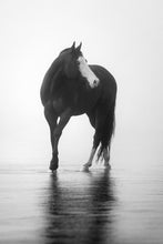 Load image into Gallery viewer, Follow Me
