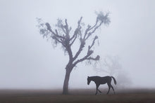 Load image into Gallery viewer, Ghost Horse
