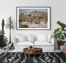 Load image into Gallery viewer, Joshua’s Land
