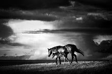 Load image into Gallery viewer, Prairie Skies
