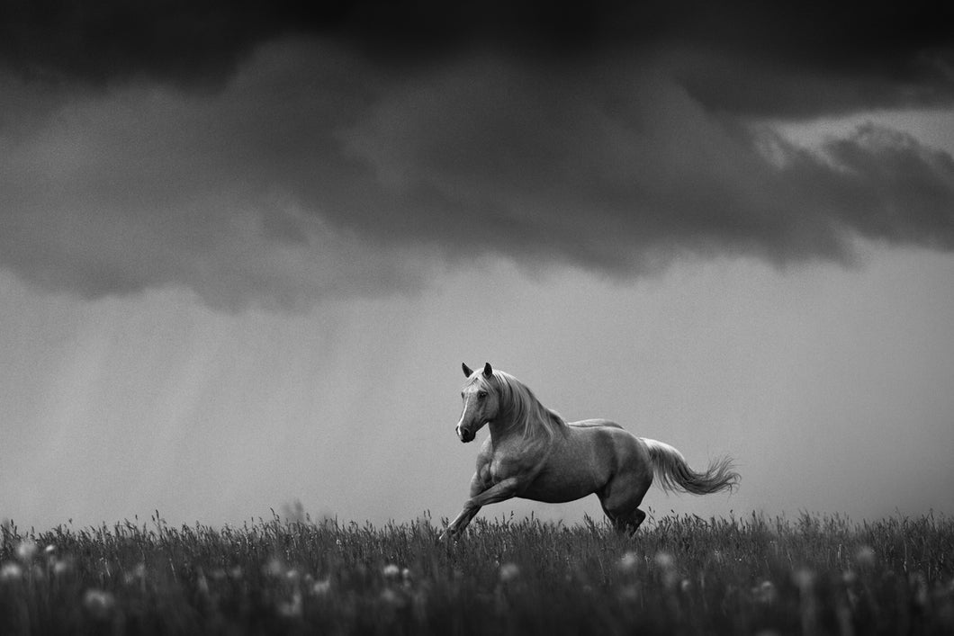 Rain In June