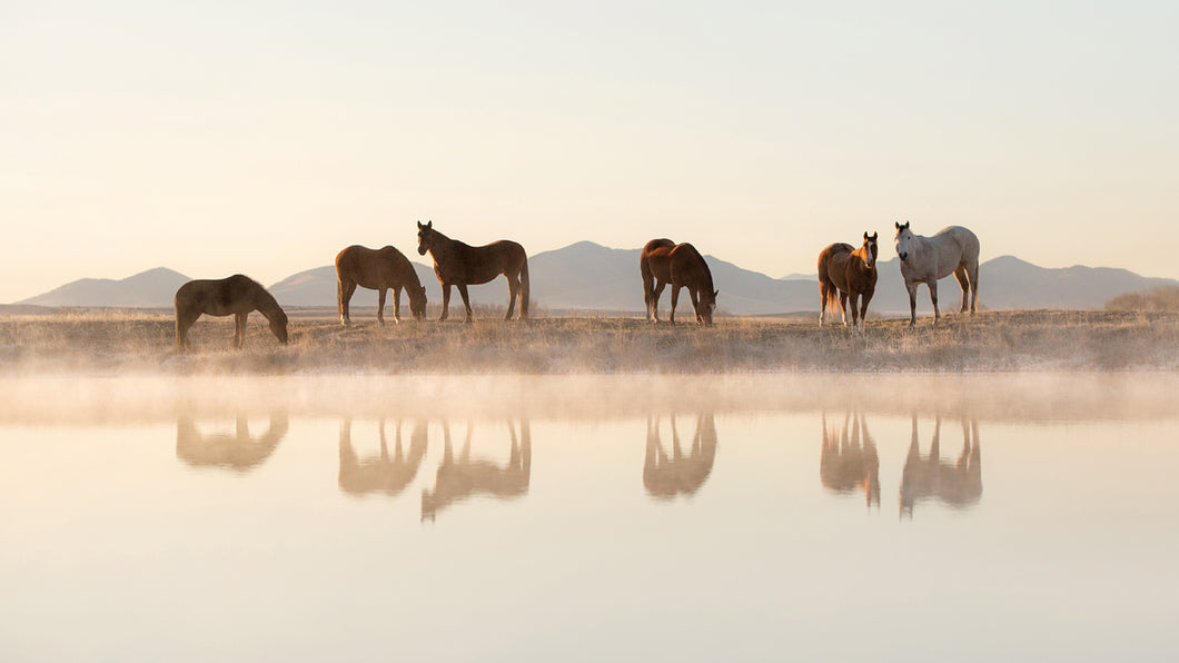 Reflection Of Now