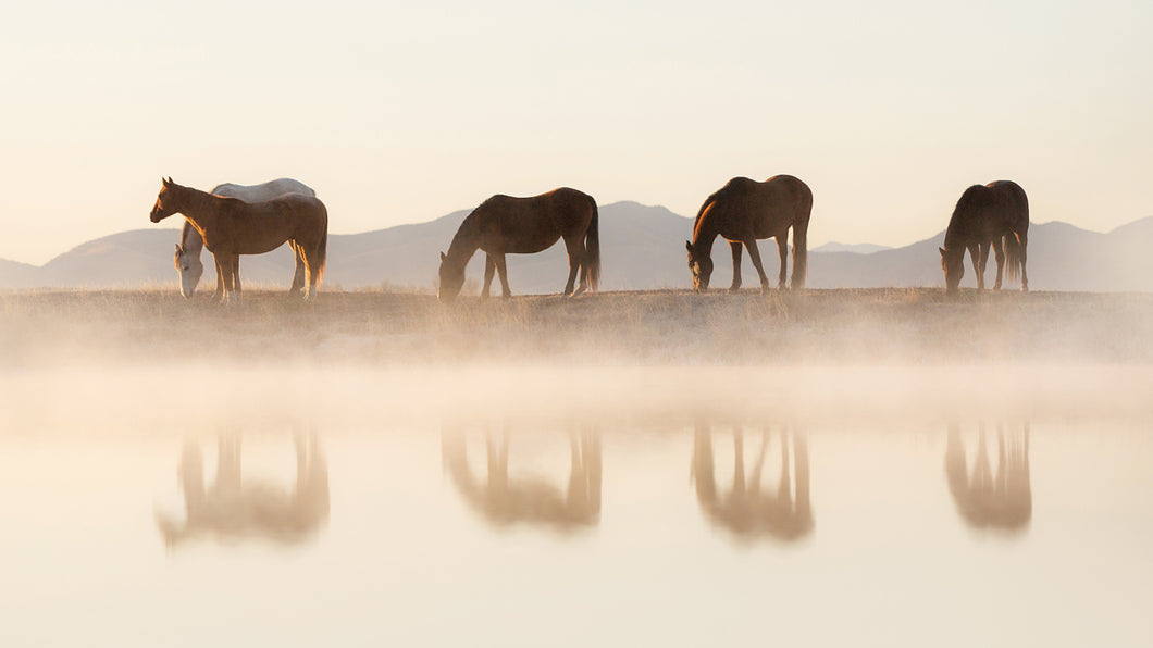 Reflection Of Now II