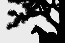 Load image into Gallery viewer, Shapes Of Mojave
