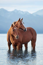 Load image into Gallery viewer, Sisterly Love
