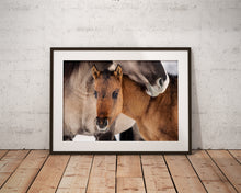 Load image into Gallery viewer, You Are Safe
